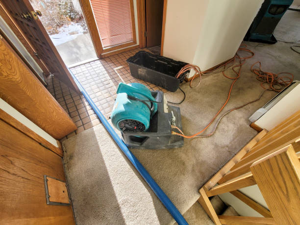 Best Water damage contractors near me  in Hillsdale, NJ