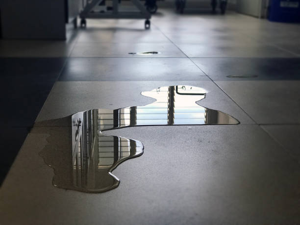 Best Water damage mitigation services  in Hillsdale, NJ
