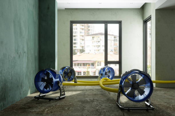 Best Basement water damage restoration  in Hillsdale, NJ