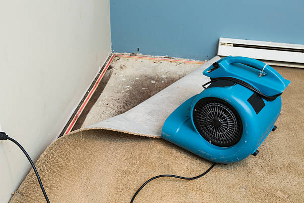 Local water damage restoration in NJ